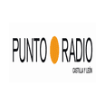 Punto Radio (Castilla y León)